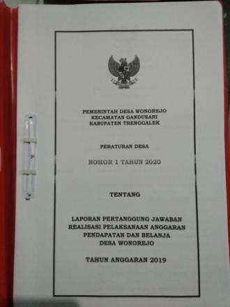 LAPORAN REALISASI DANA DESA TAHUN 2019